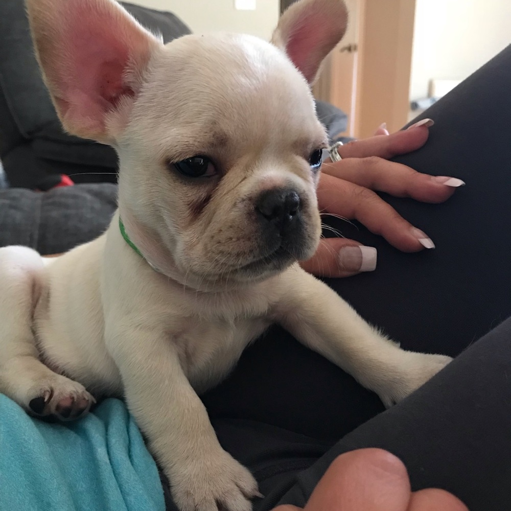 Meet your Posher, Faith